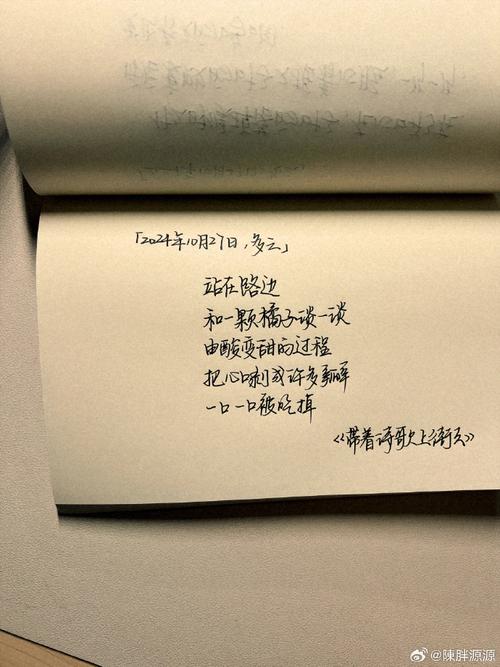 我们诗歌,集体与个体的边界何在?-图3 我们诗歌,集体与个体的边界何在?-图3