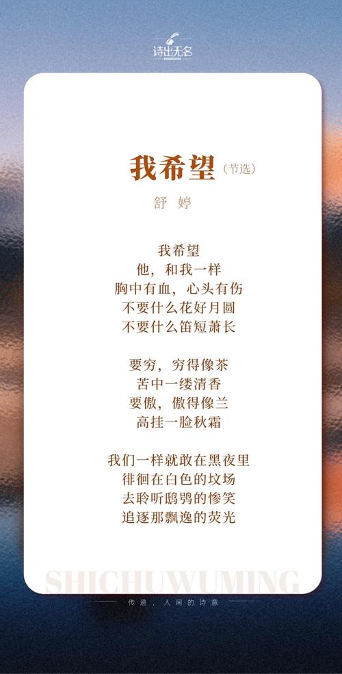 现代诗歌的作者是谁，如何定义其身份？-图1