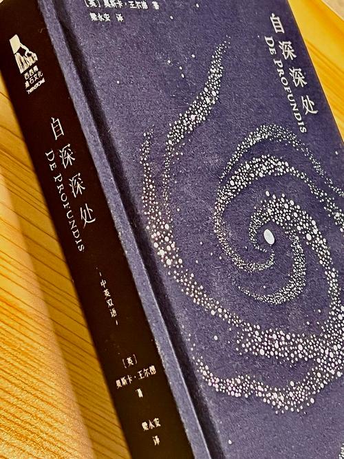 深渊诗歌，藏着怎样的灵魂回响？-图3