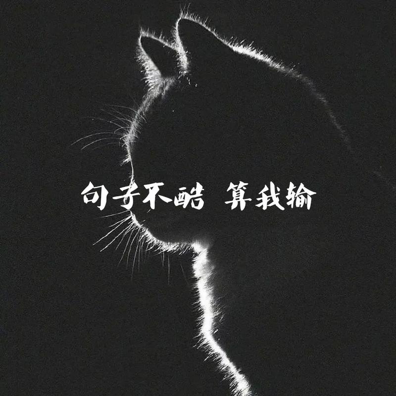 个性名言超拽霸气，为何能戳中人心？-图2