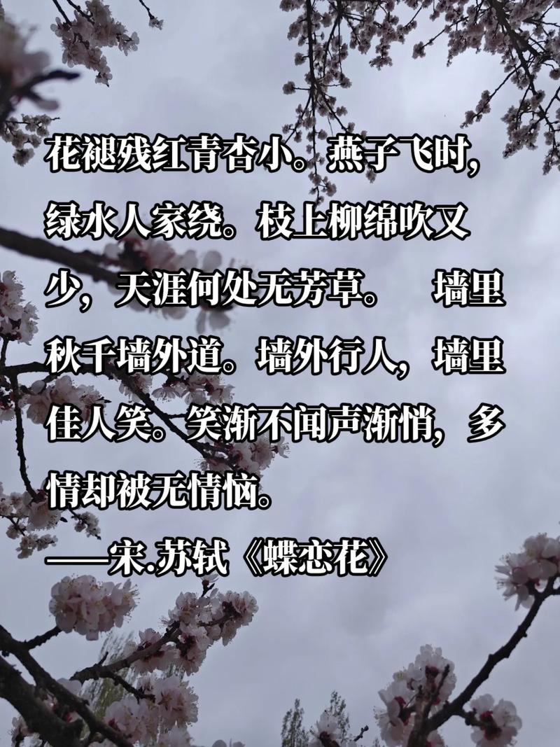 野花绽放，是孤独的风景还是自由的诗行？-图2