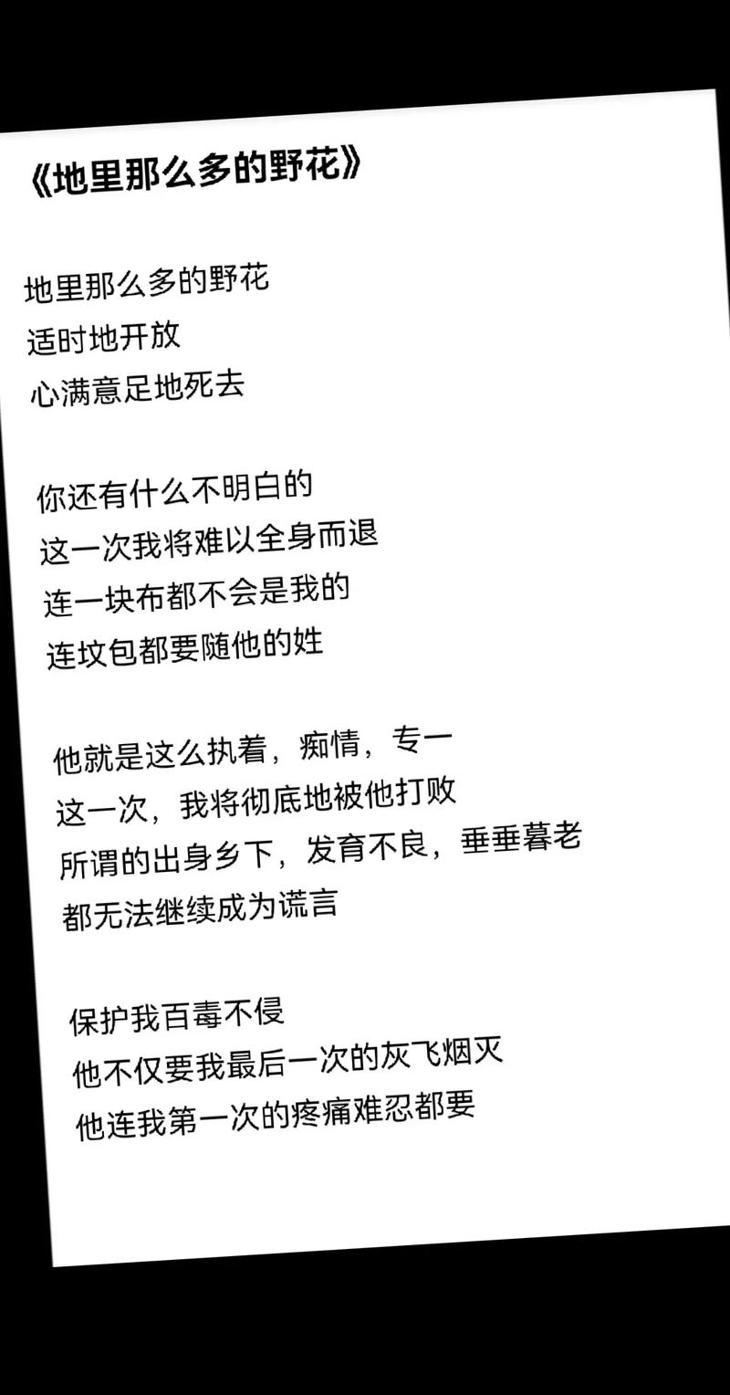 野花绽放，是孤独的风景还是自由的诗行？-图1