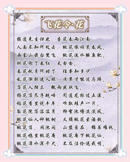 野花绽放，是孤独的风景还是自由的诗行？-图3