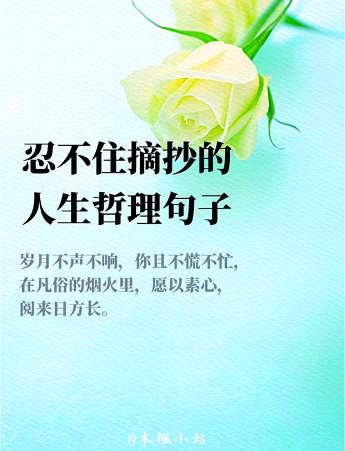 人生金句名言，藏着怎样的智慧密码？-图1