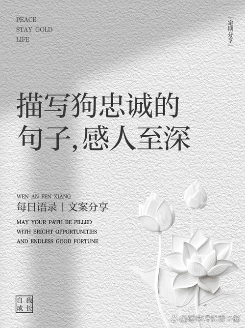 何为忠实的名言？其核心内涵是什么？-图2