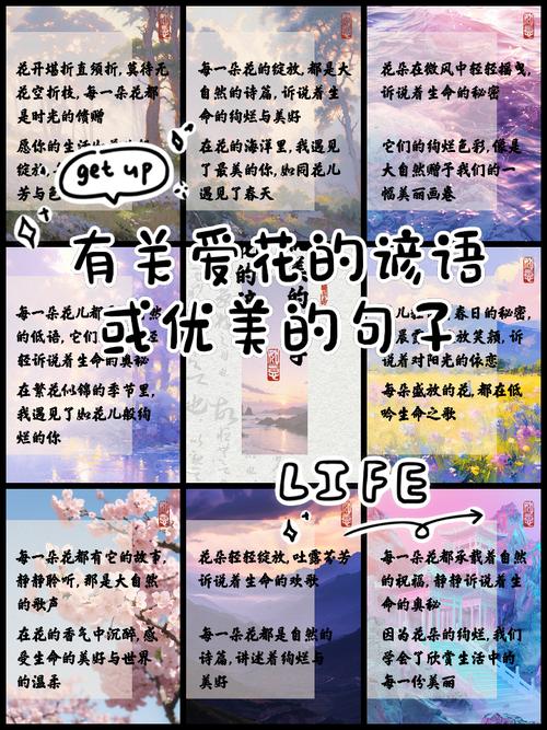 又开花名言蕴含何种深意？-图2