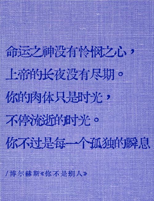 宇而名言，何为智慧真谛？-图2