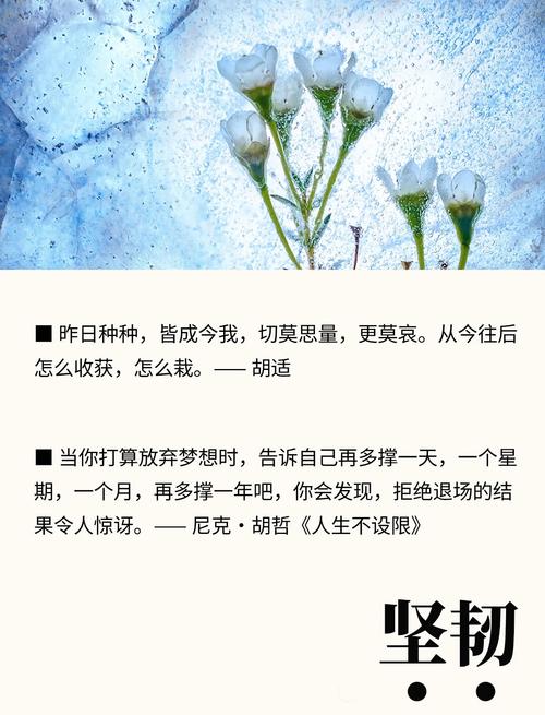 生活的名句名言，藏着怎样的智慧密码？-图2