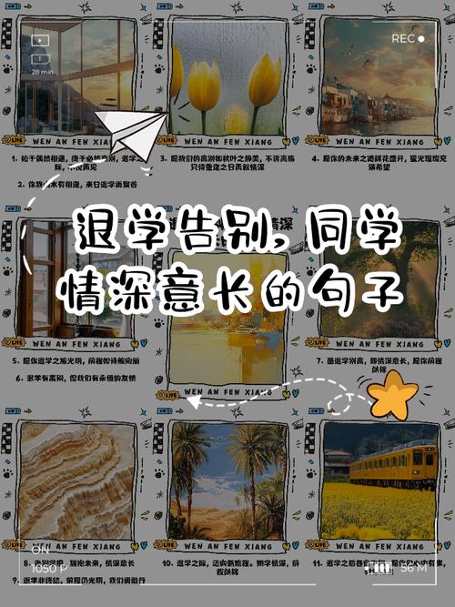 告别同学的诗歌,告别同学的语言-图2 告别同学的诗歌,告别同学的语言-图2