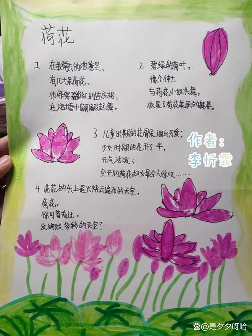 现代诗如何赞美荷花的新意境?-图2 现代诗如何赞美荷花的新意境?-图2