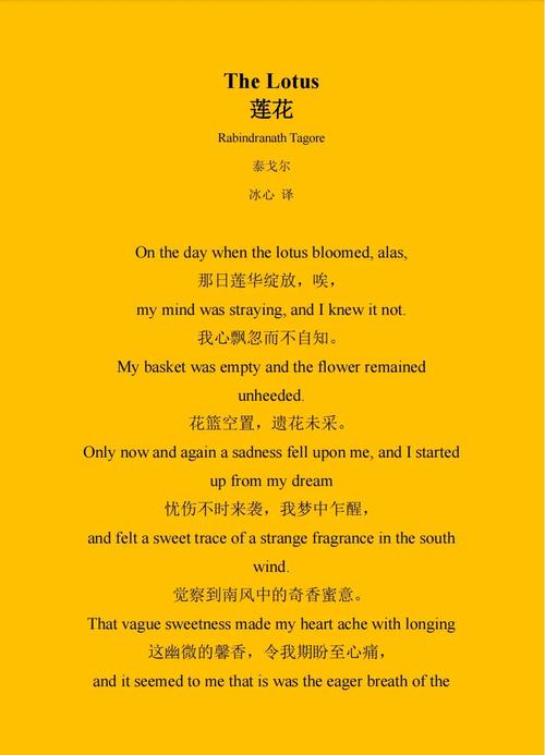 现代诗如何赞美荷花的新意境?-图1 现代诗如何赞美荷花的新意境?-图1