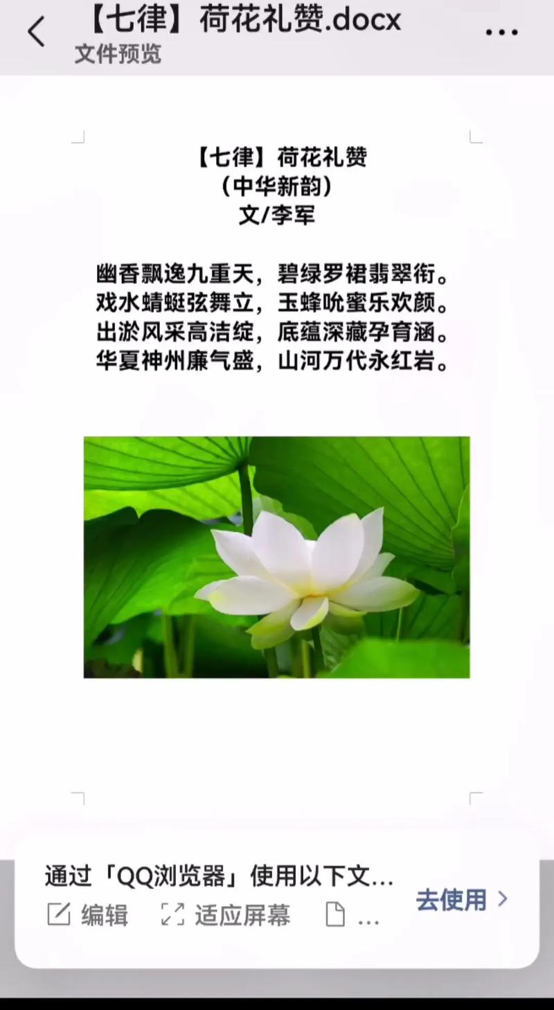 现代诗如何赞美荷花的新意境?-图3 现代诗如何赞美荷花的新意境?-图3