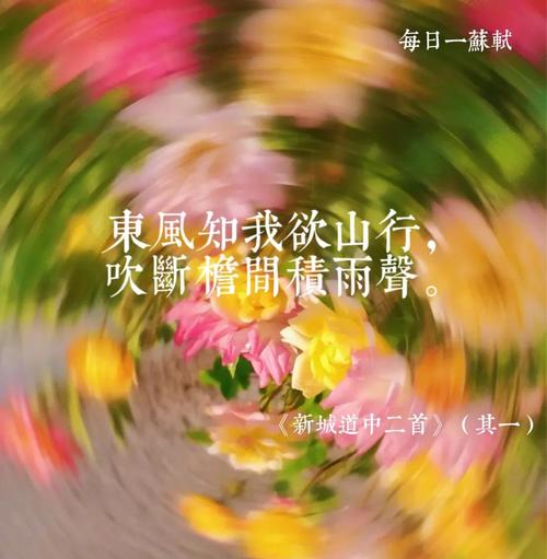 马兰诗歌 吹拂,马兰山野吹来的风-图2 马兰诗歌 吹拂,马兰山野吹来的风-图2