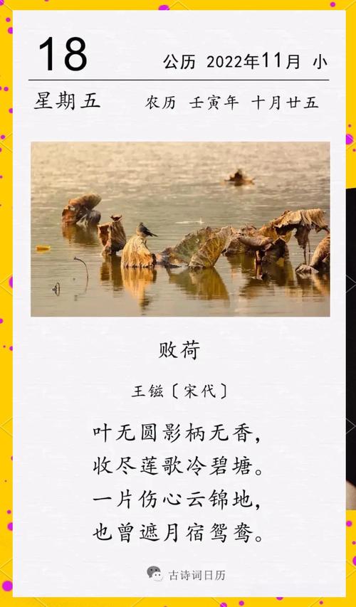 莲的现代诗歌,莲现代诗歌原创-图2 莲的现代诗歌,莲现代诗歌原创-图2