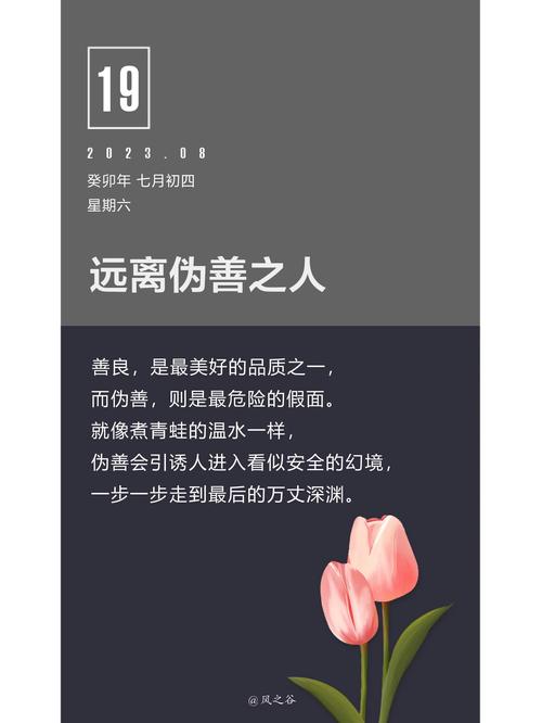 孤立人的名言,孤立人的名言有哪些-图3 孤立人的名言,孤立人的名言有哪些-图3