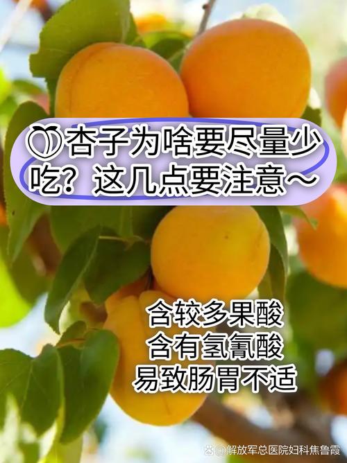 杏子名言,杏子的语录-图2 杏子名言,杏子的语录-图2