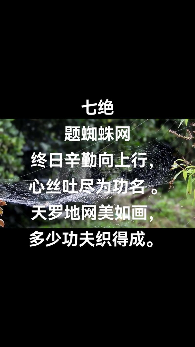 有网的字名言，何意？-图1