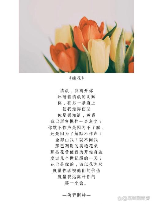 什么是西方诗歌，什么是西方诗歌的主流-图1