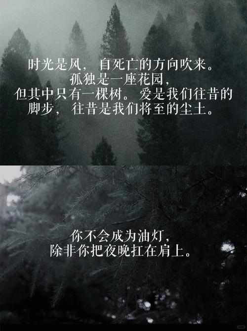 威尼斯 诗歌，威尼斯原文-图3