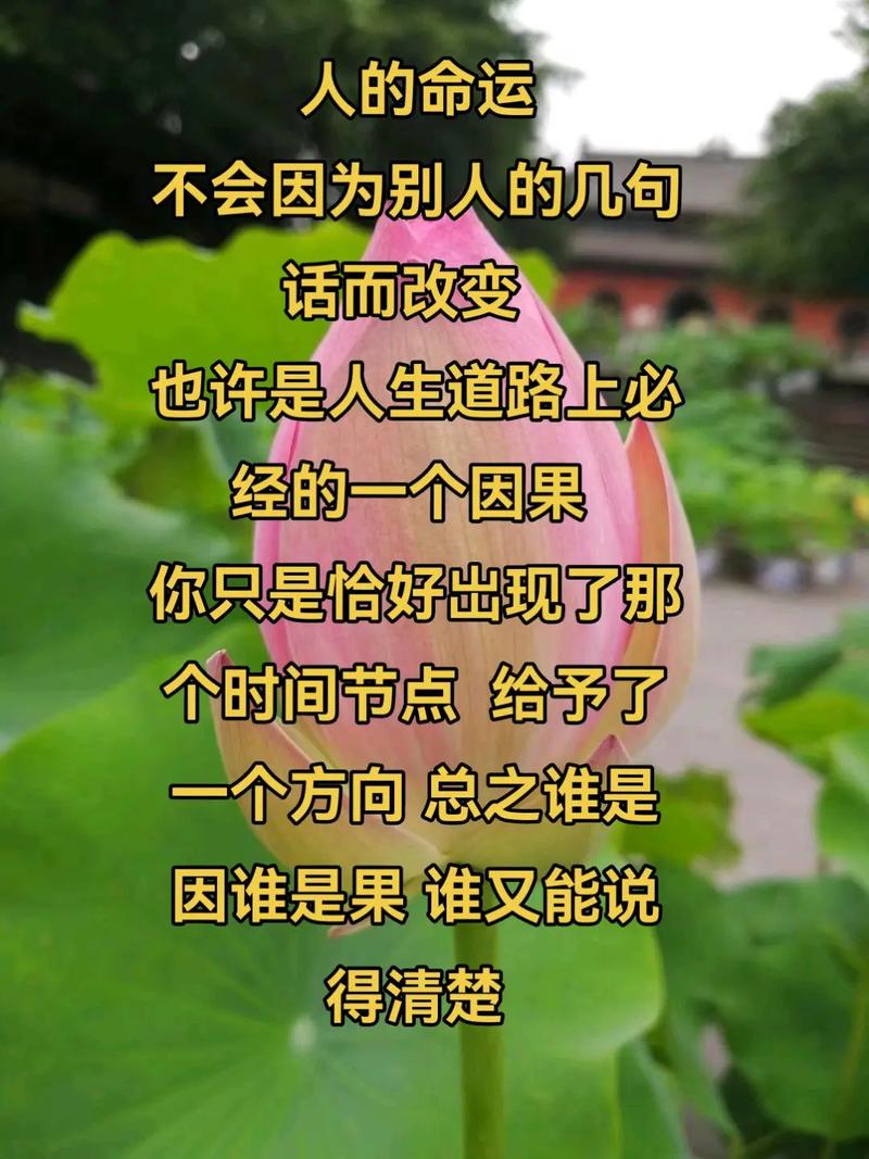 内因的名言,内因的名言警句-图2 内因的名言,内因的名言警句-图2