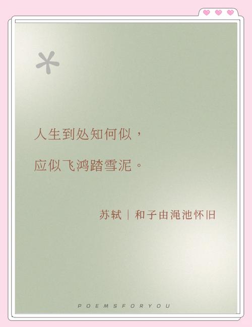 人生诗歌,藏着怎样的生命答案?-图2 人生诗歌,藏着怎样的生命答案?-图2