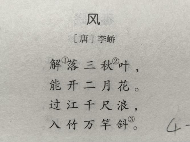 风拂过诗行,藏着多少未说尽的季节心事?-图3 风拂过诗行,藏着多少未说尽的季节心事?-图3
