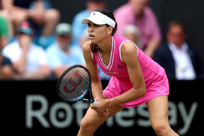 汤姆贾诺维奇名言-图1 汤姆贾诺维奇名言-图1