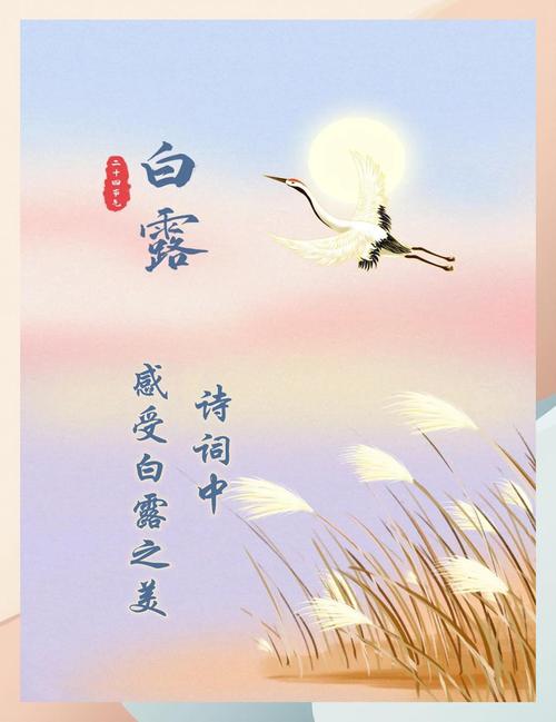 白露诗歌-图1 白露诗歌-图1