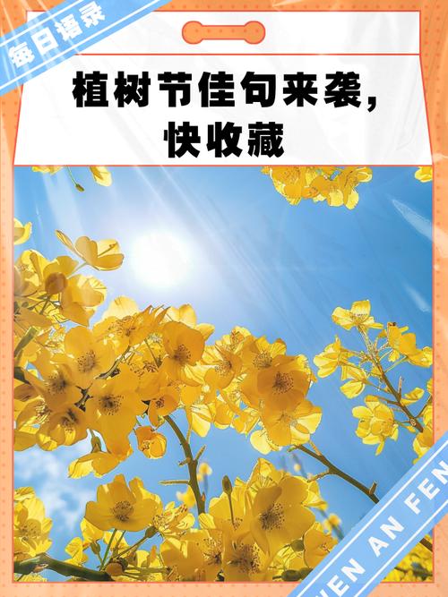 种大树名言有何深意？-图3