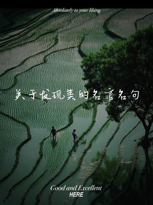 何为美？名言如何定义美的真谛？-图2