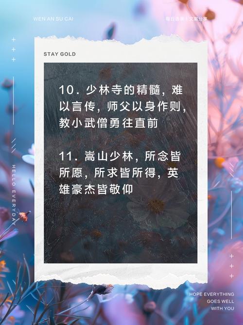 关于武术的名言,关于武术的名言名句-图3 关于武术的名言,关于武术的名言名句-图3