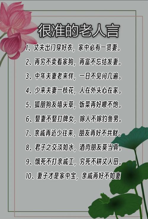 关于尊老的名言警句,关于尊老的名言警句有哪些-图1 关于尊老的名言警句,关于尊老的名言警句有哪些-图1