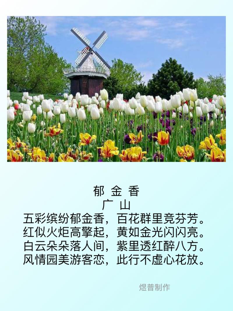 郁金香 外国诗歌，郁金香外国诗歌-图1