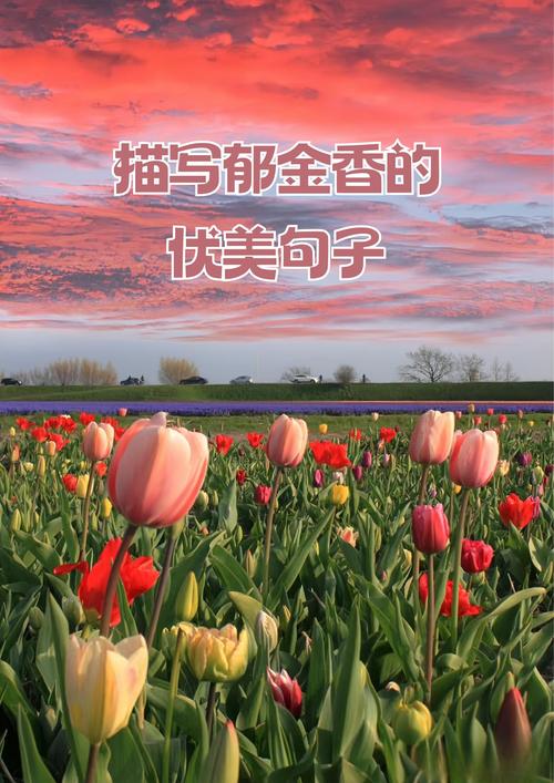 郁金香 外国诗歌，郁金香外国诗歌-图2