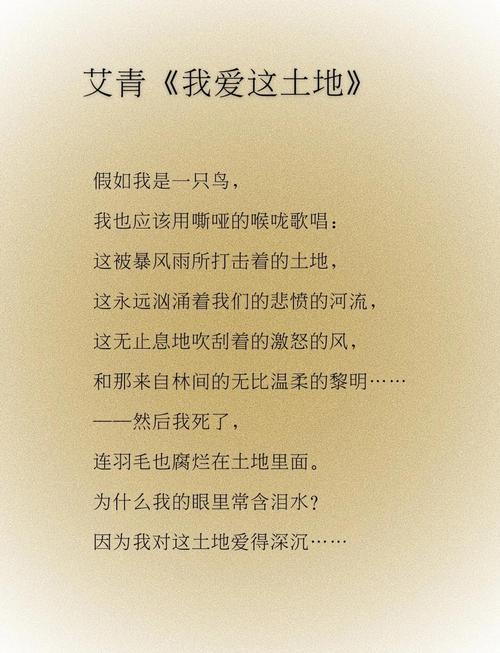 我爱这土地诗歌语言有何独特魅力？-图1