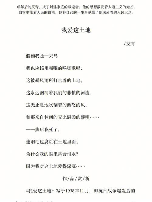 我爱这土地诗歌语言有何独特魅力？-图2