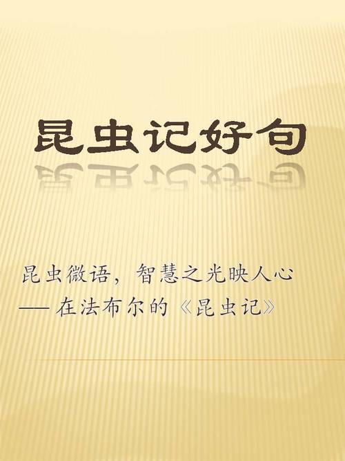 法布尔说的名言,法布尔说的名言名句-图3 法布尔说的名言,法布尔说的名言名句-图3