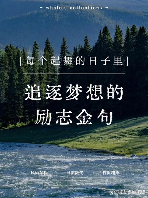 追求梦想的名言警句,追求梦想的名言警句简短-图2 追求梦想的名言警句,追求梦想的名言警句简短-图2