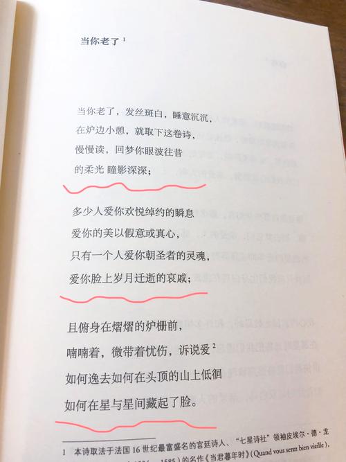 当你老了诗歌,当你老了诗歌原文-图3 当你老了诗歌,当你老了诗歌原文-图3