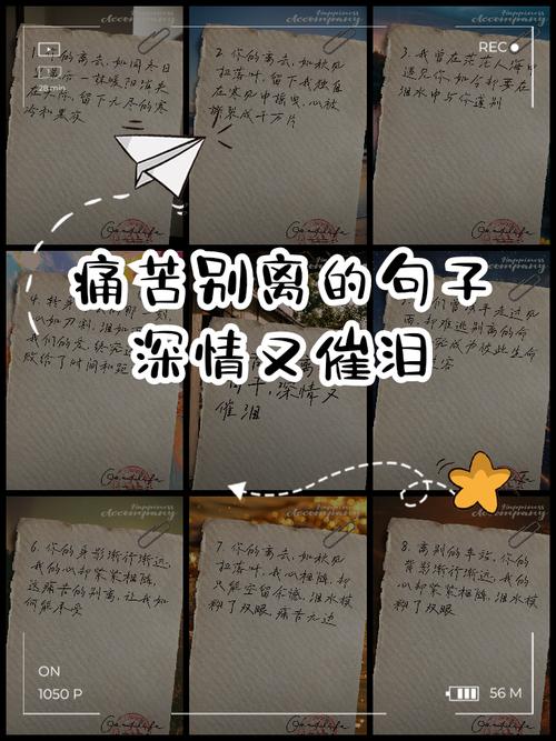 难受时的名言,难受的名言名句合集-图1 难受时的名言,难受的名言名句合集-图1