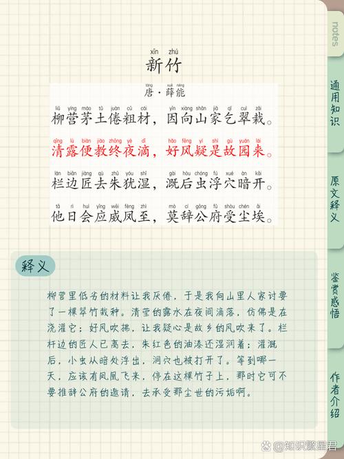 咏竹诗歌,咏竹诗歌阅读答案-图1 咏竹诗歌,咏竹诗歌阅读答案-图1