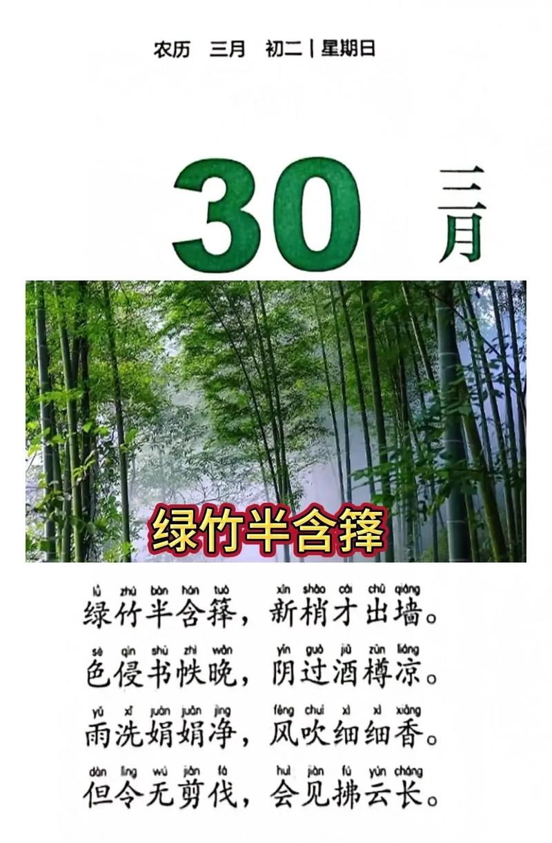 咏竹诗歌,咏竹诗歌阅读答案-图2 咏竹诗歌,咏竹诗歌阅读答案-图2