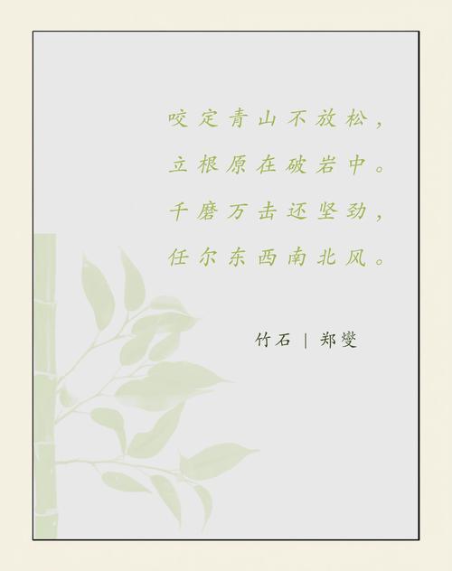 咏竹诗歌,咏竹诗歌阅读答案-图3 咏竹诗歌,咏竹诗歌阅读答案-图3