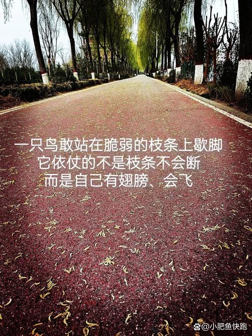 名言说人生多荆棘,可为何仍要前行?-图1 名言说人生多荆棘,可为何仍要前行?-图1