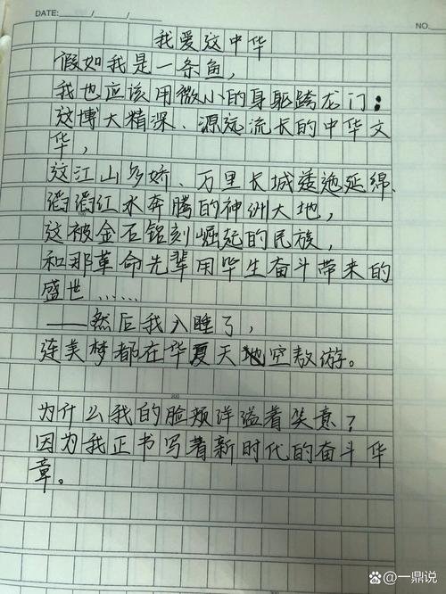 仿写爱国诗歌,仿写爱国诗歌我爱这土地-图3 仿写爱国诗歌,仿写爱国诗歌我爱这土地-图3