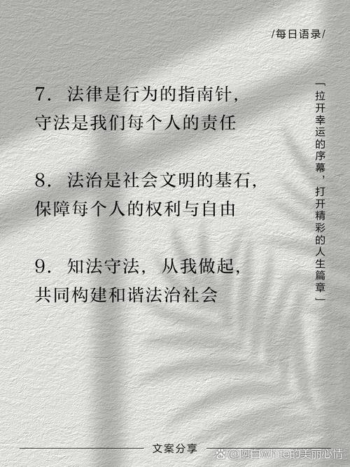 和法律有关的名言，和法律有关的名言警句-图3