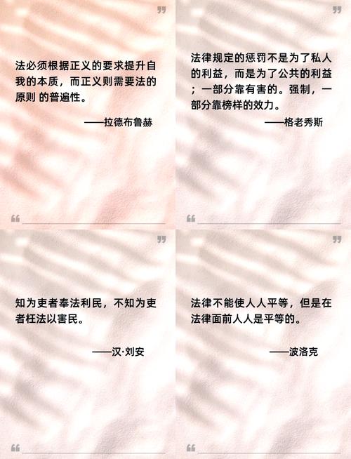 和法律有关的名言，和法律有关的名言警句-图1