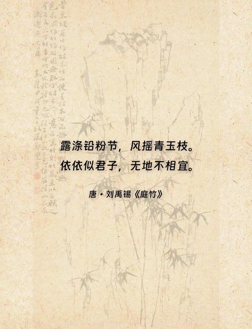 写竹的诗歌,写竹的诗歌现代诗-图2 写竹的诗歌,写竹的诗歌现代诗-图2