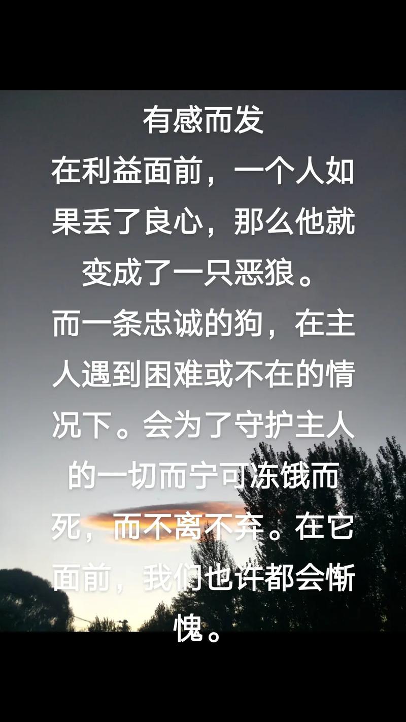 关于忠诚的名言警句,关于忠诚的名言警句古诗文-图1 关于忠诚的名言警句,关于忠诚的名言警句古诗文-图1