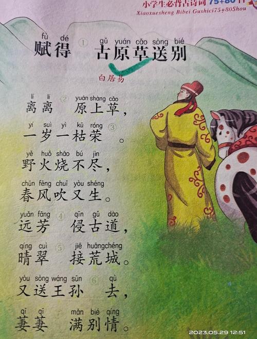 草原恋诗歌,草原恋诗句-图1 草原恋诗歌,草原恋诗句-图1